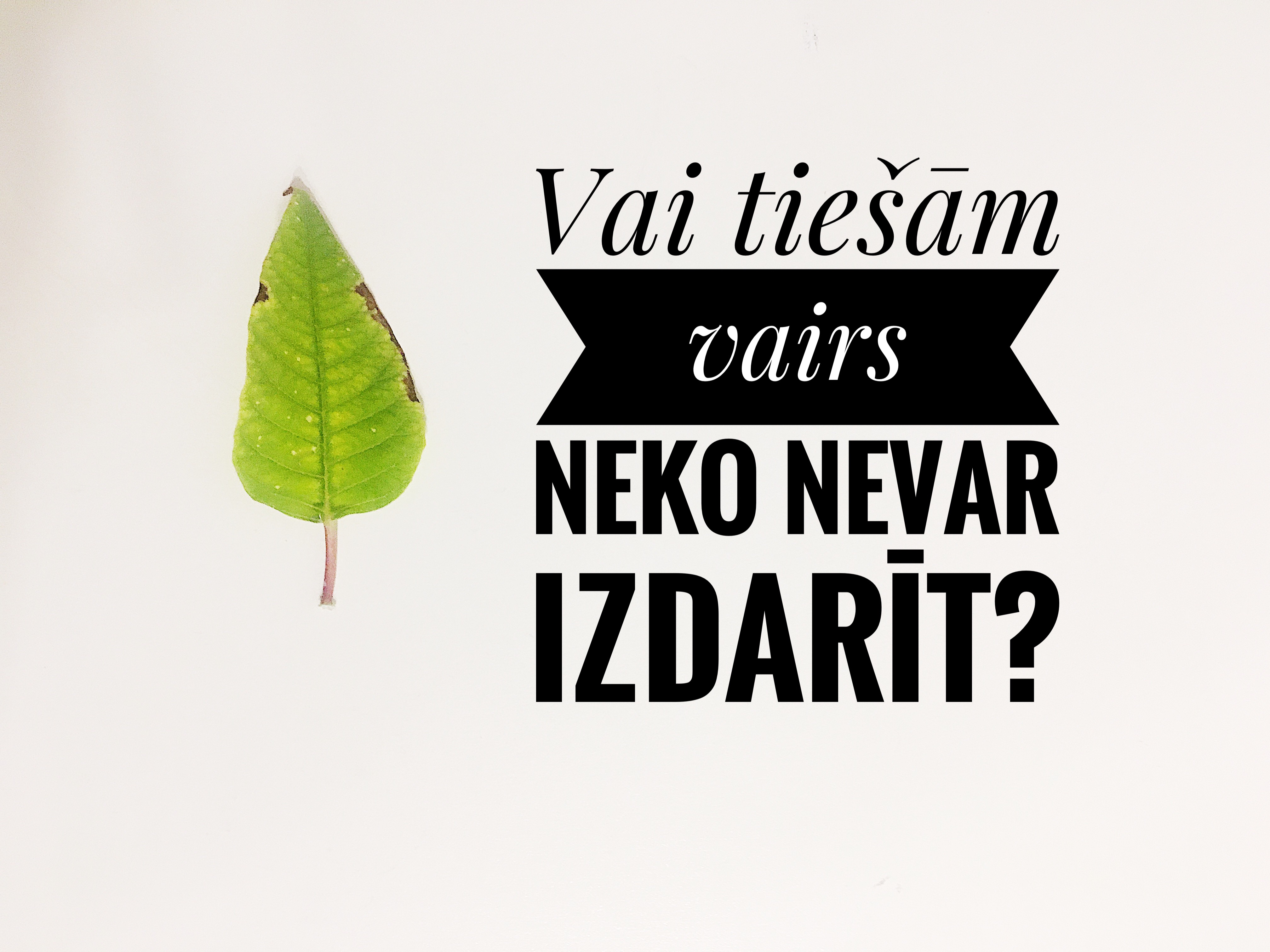 Vai tiešām vairs neko nevar izdarīt?